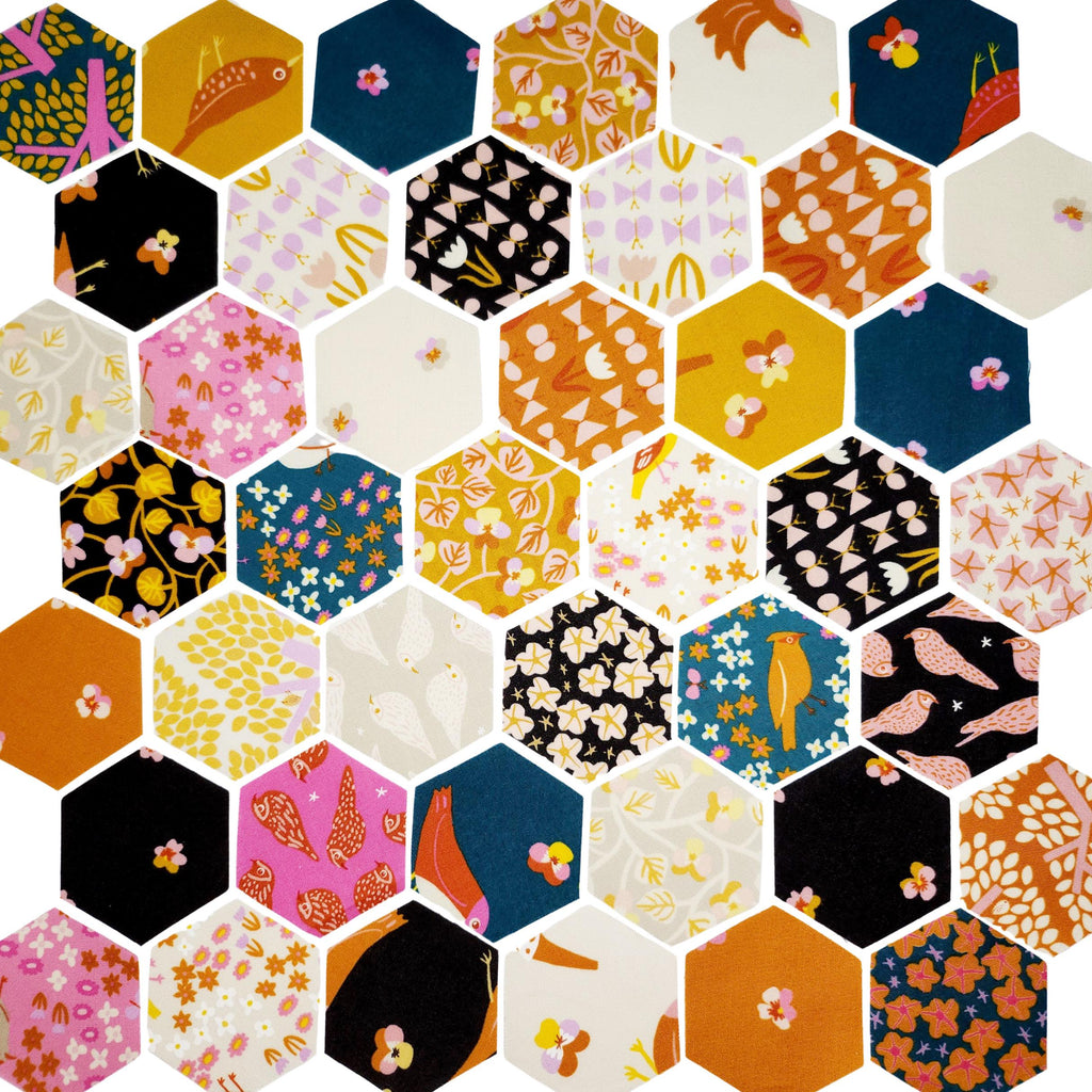 Ruby Star Society Bird is the Word 1 inch die cut hexies (42) and paper templates; English Paper Piecing (EPP); precut hexagons Kim Kight