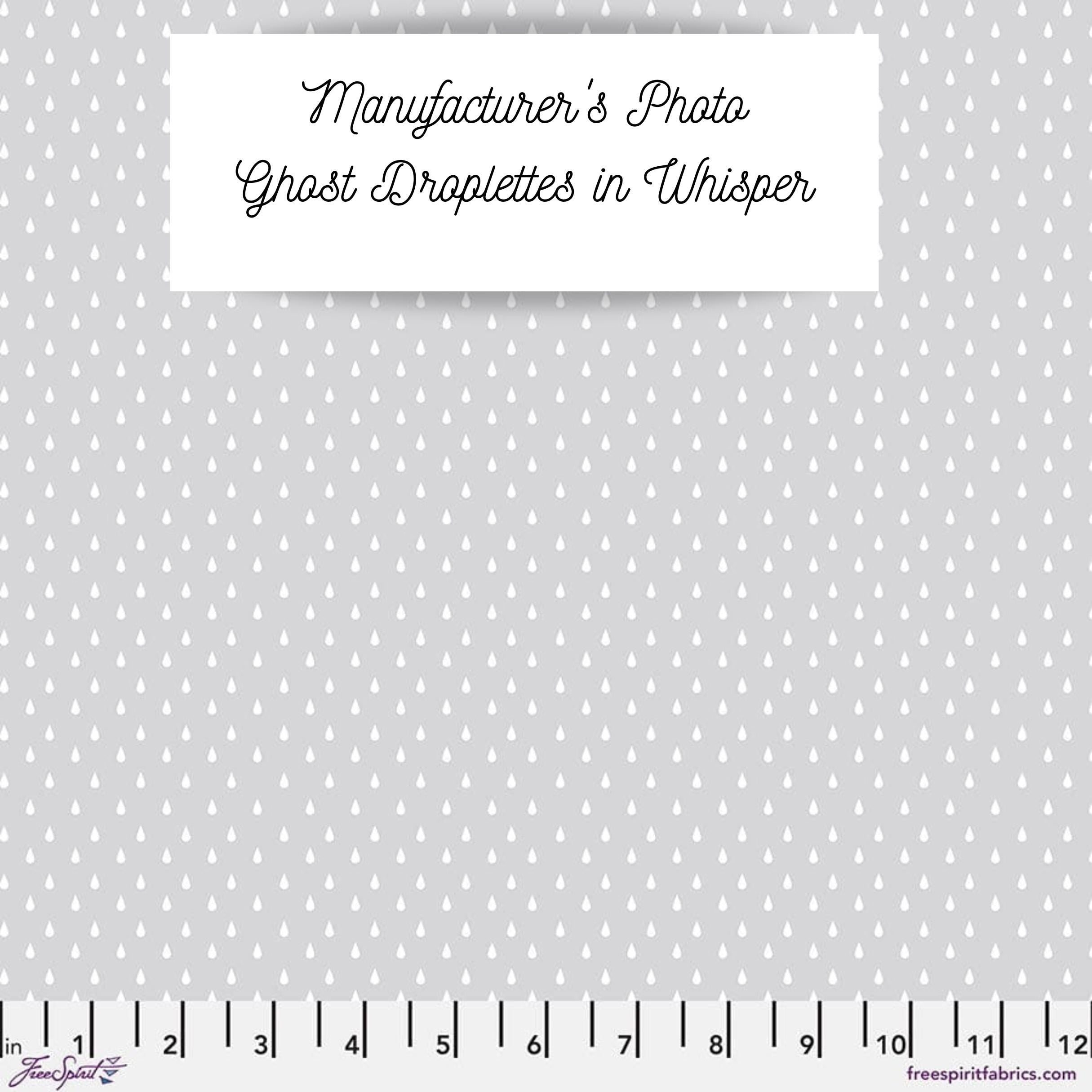 EPP kit Tula Pink True Colors 2025 Ghost Only Hexies: 42 diecut 1-inch Fabric hexagons + Paper Templates